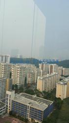 Skyline Residences (D4), Condominium #91075742